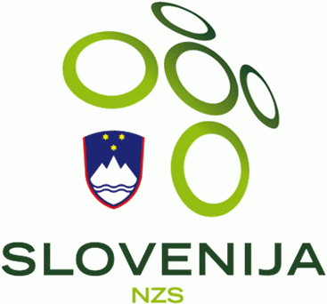 UEFA Slovenia Pres Primary Logo iron on transfers